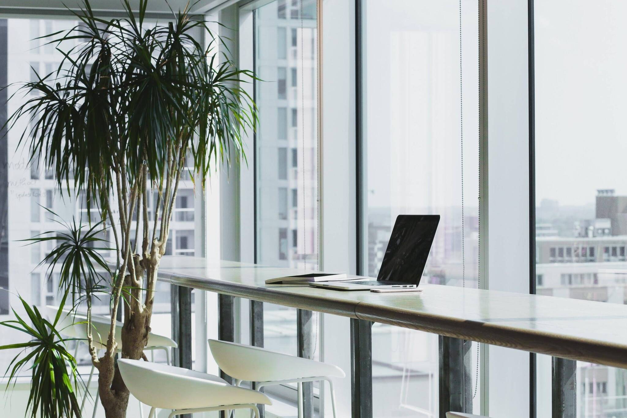 Biophilic Office Design: How it Could Help Your Employees