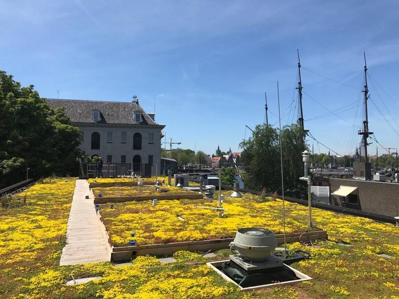 Blue-Green Infrastructure begins to take centre stage in UK consciousness