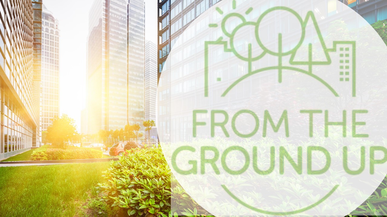 Green Urbanisation makes inroads in Northern Ireland